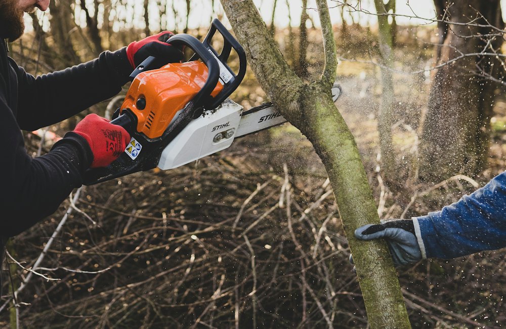 Tree surgeon cutting a tree with a chainsaw